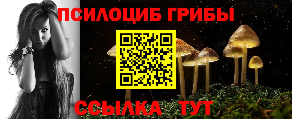 Усинск  Галлюциногенные грибы Cubensis  Вход с VPN  Псилоцибиновые грибы Psilocybe 